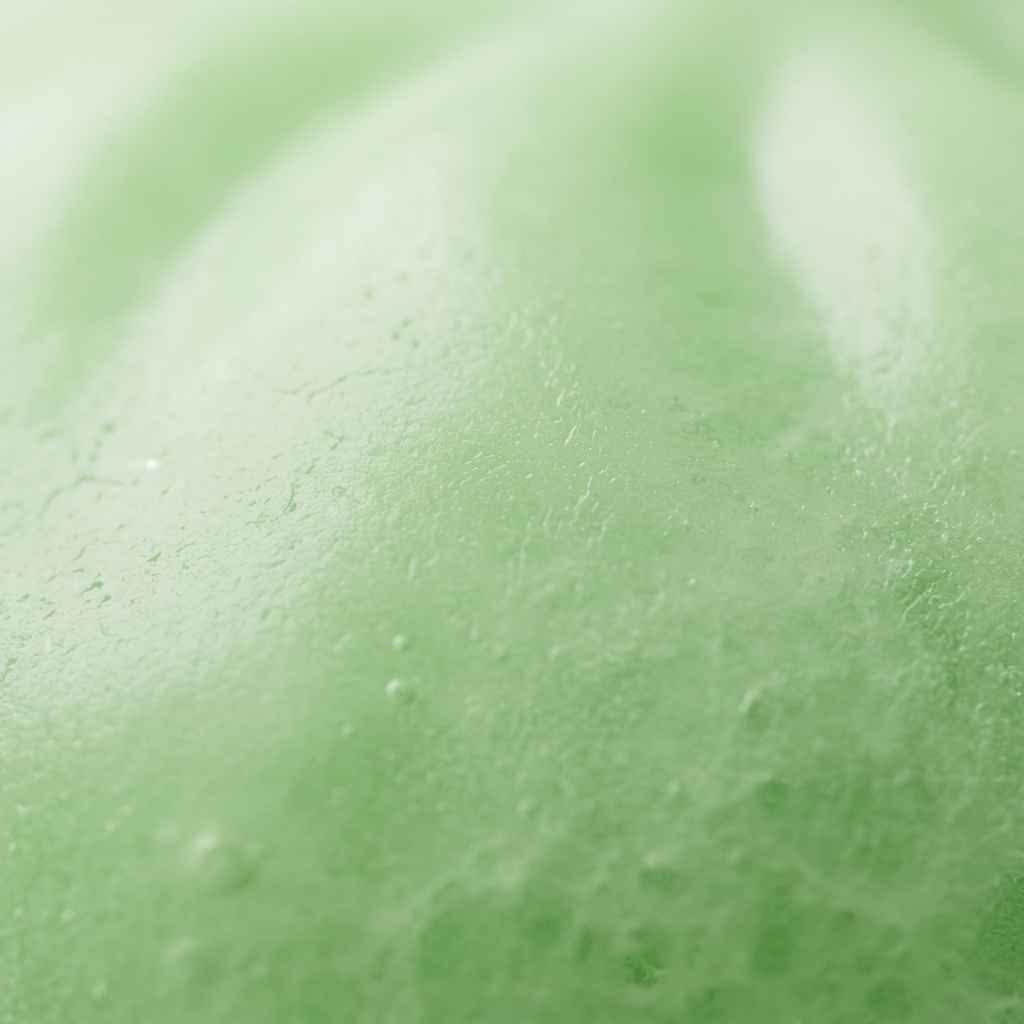 Dumpling Squishy Verde Fresco Naturale — squishy antistress slow-rise kawaii