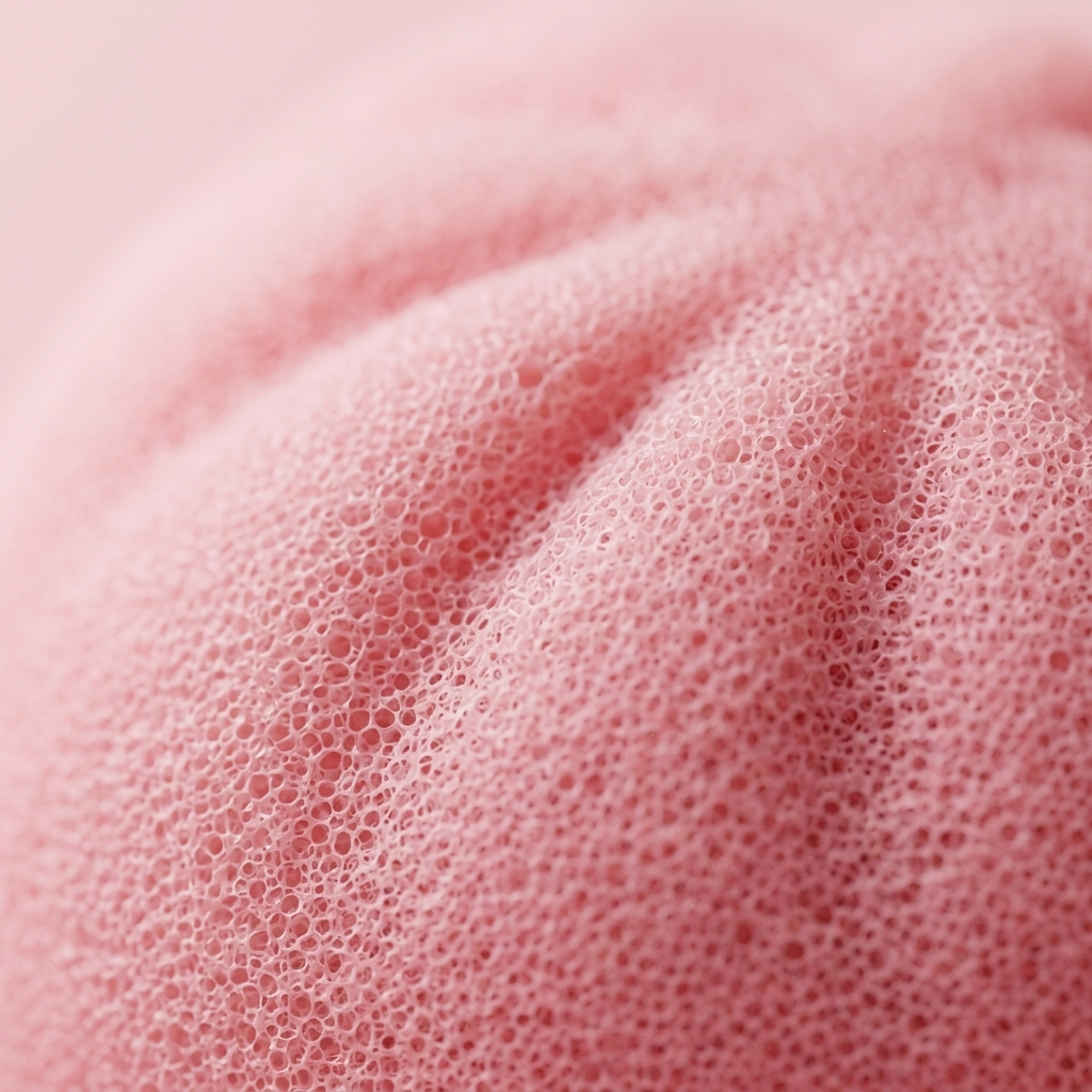 Pink Squishy Dumpling Dolcezza Fiorita — squishy antistress slow-rise kawaii