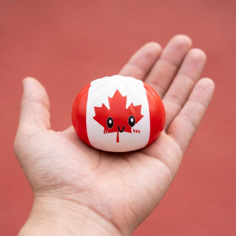 Flag Squishy Dumpling Canada con Cestino Bambù — squishy antistress slow-rise kawaii