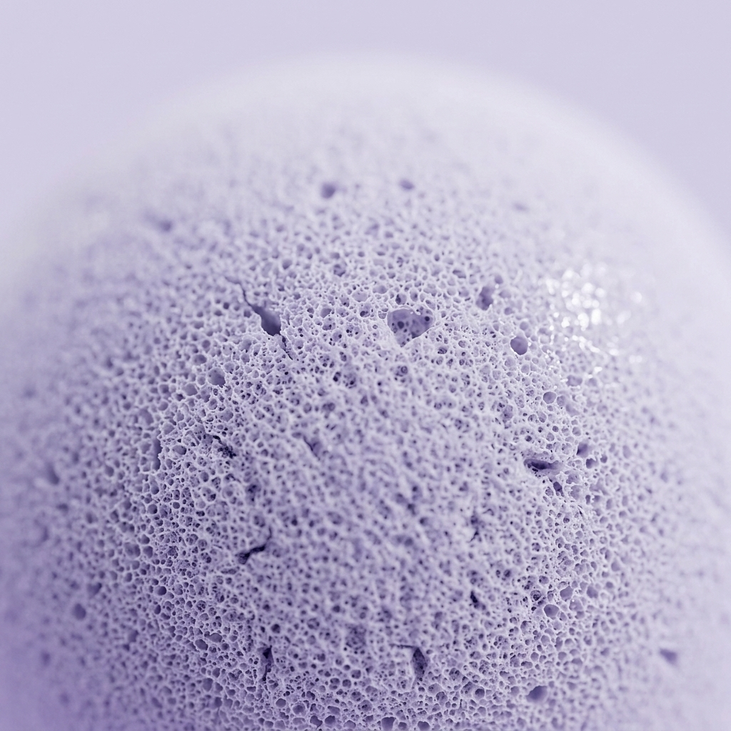Dumpling Squishy Mystery Peluche a Sorpresa — squishy antistress slow-rise kawaii
